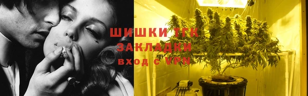ГАЛЛЮЦИНОГЕННЫЕ ГРИБЫ Баксан