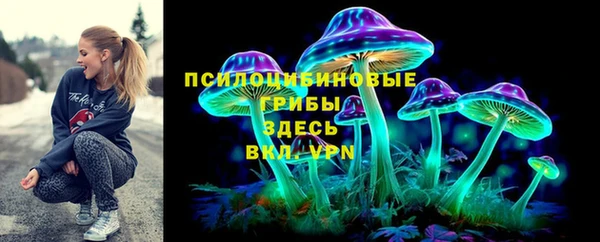 ГАЛЛЮЦИНОГЕННЫЕ ГРИБЫ Баксан