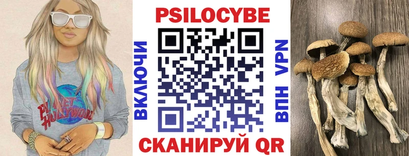 Псилоцибиновые грибы Psilocybine cubensis Новосиль
