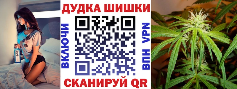 Конопля сатива  mega   Новосиль 